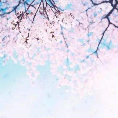 幻剑修仙九游版下载